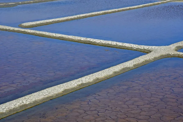 Guerande, France - april 14 2017 : salt marshes — Stock Photo, Image