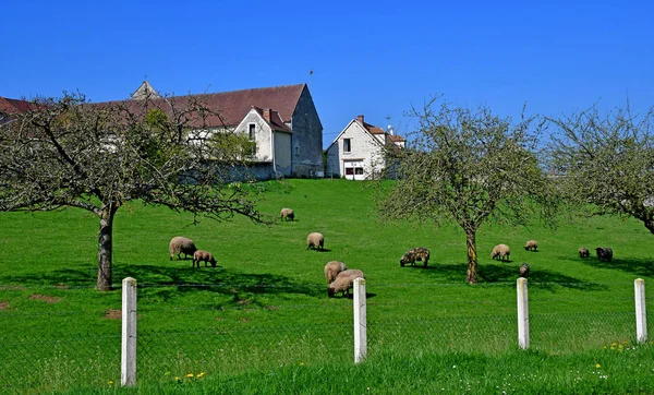 Vaudancourt, Francia - 3 de abril de 2017: pintoresco pueblo en spri —  Fotos de Stock