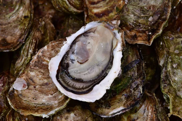 Rambouillet; Francia - 11 novembre 2017: mercato agricolo — Foto Stock