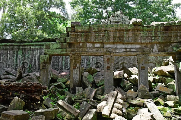 Siem Reap; Kingdom of Cambodia - august 24 2018 : Ta Prohm templ — Stock Photo, Image