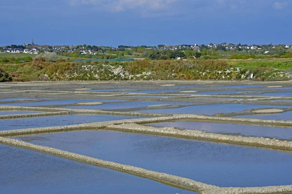 Guerande, Francie - 14 duben 2017: slaniska — Stock fotografie