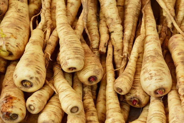 Рамбуйе; Франция - 11 ноября 2017: parsnip — стоковое фото