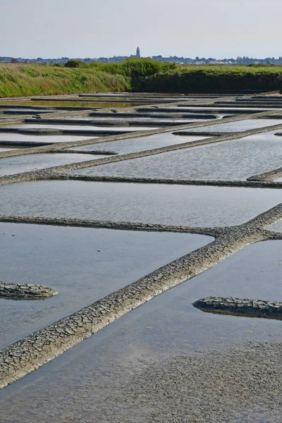 Guerande, Frankrike - april 14 2017: salta våtmarker — Stockfoto