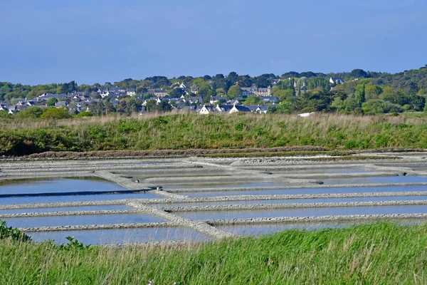 Guerande, Frankrike - april 14 2017: salta våtmarker — Stockfoto