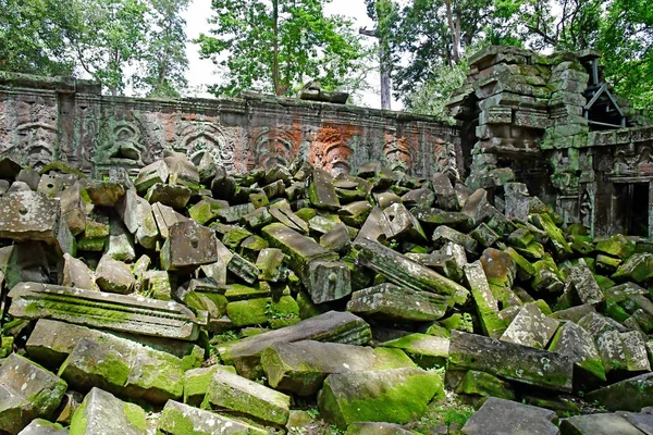 Siem Reap; Kingdom of Cambodia - august 24 2018 : Ta Prohm templ — Stock Photo, Image