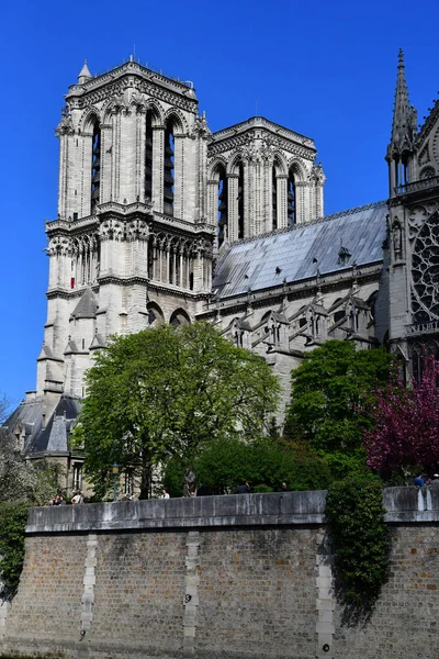 Paris; France - april 2 2017 : notre dame cathedral — Stock Photo, Image