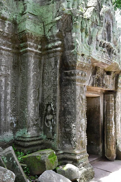 Siem Reap –; Kambodžské království - srpen 24 2018: Ta Prohm templ — Stock fotografie