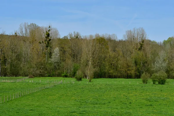 Gommecourt; France - april 21 2018 : contryside — Stock Photo, Image