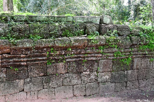 Siem Reap; Reino do Camboja - 24 de agosto de 2018: Ta Prohm templ — Fotografia de Stock