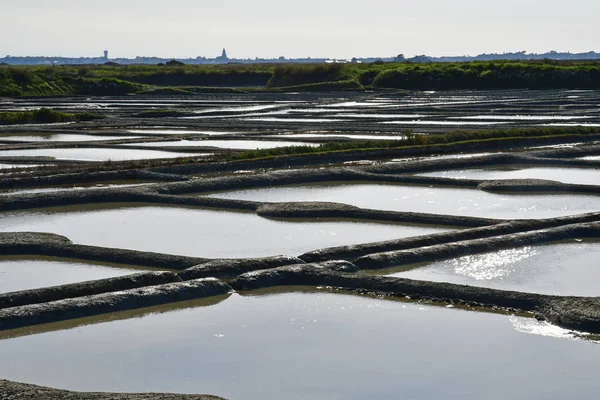 Guerande, Francie - 14 duben 2017: slaniska — Stock fotografie