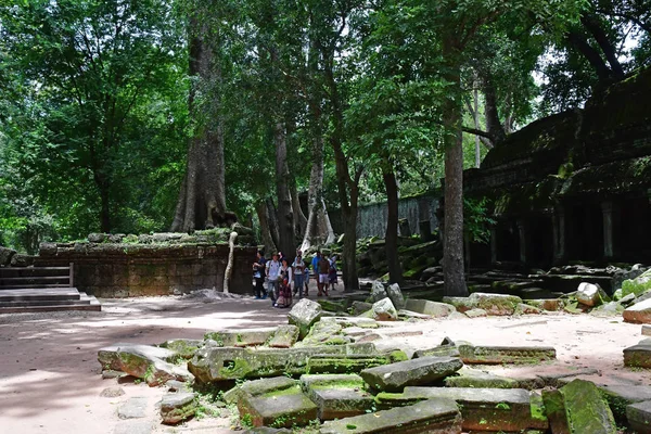 Siem Reap; Reino de Camboya - 24 de agosto de 2018: Ta Prohm templ — Foto de Stock