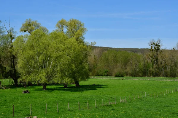 Gommecourt; frankreich - 21. april 2018: contryside — Stockfoto