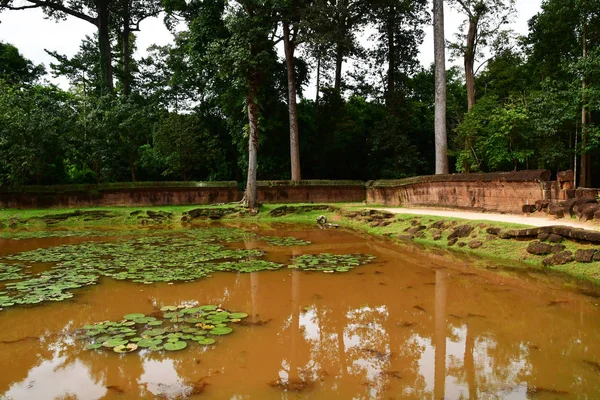 Siem Reap; Reino de Camboya 24 de agosto de 2018: Banteay Srei t —  Fotos de Stock