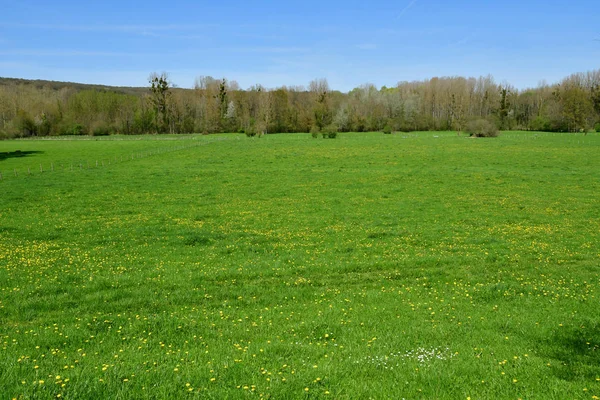 Gommecourt;フランス - 2018 年 4 月 21 日: 田園地帯 — ストック写真