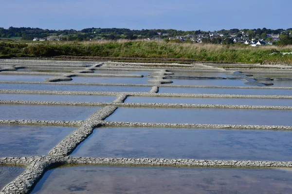 Guerande, Francie - 14 duben 2017: slaniska — Stock fotografie