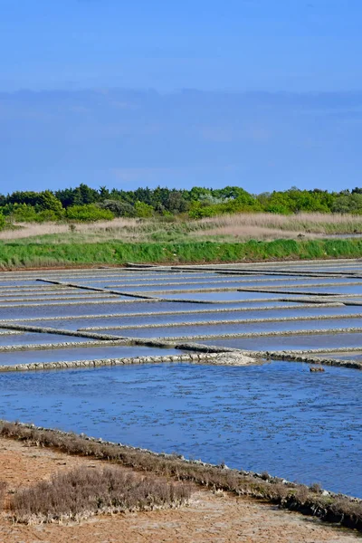 Guerande, Francia - 14 de abril de 2017: Salinas — Foto de Stock