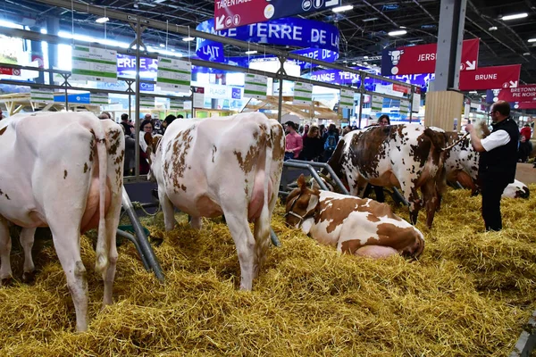 París; Francia - 24 de febrero de 2019: la agria internacional de París — Foto de Stock