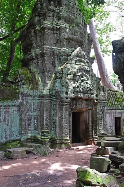 Siem Reap; Reino de Camboya - 24 de agosto de 2018: Ta Prohm templ — Foto de Stock