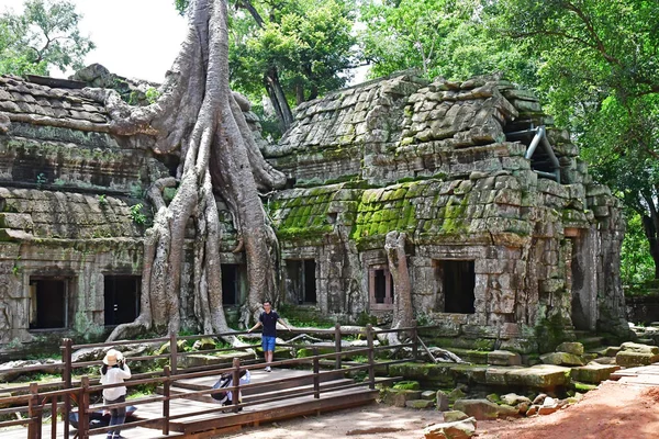 Siem Reap; Kingdom of Cambodia - august 24 2018 : Ta Prohm templ — Stock Photo, Image