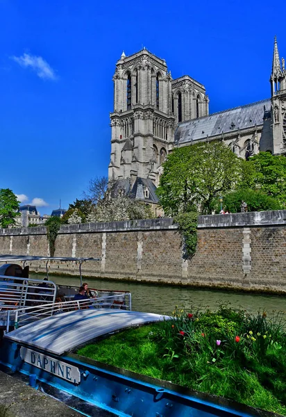 Paris; France - april 2 2017 : notre dame cathedral — Stock Photo, Image