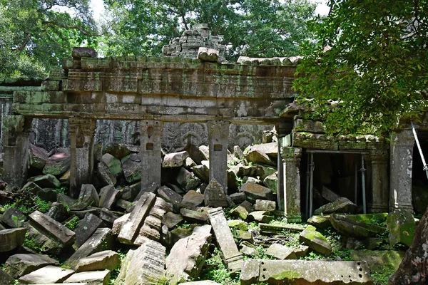 Siem Reap; Kingdom of Cambodia - august 24 2018 : Ta Prohm templ — Stock Photo, Image