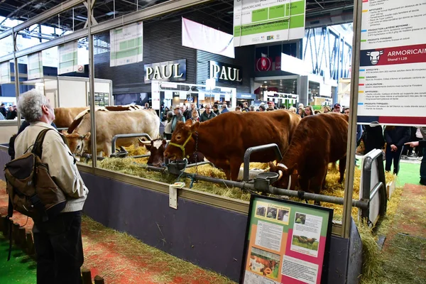 Paris; frankreich - 24. februar 2019: die internationale agric in paris — Stockfoto