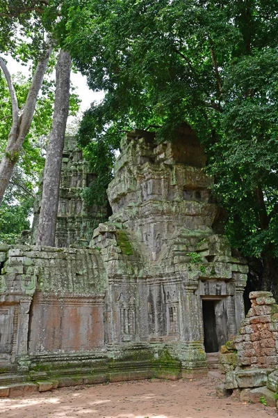 Siem Reap; Reino do Camboja - 24 de agosto de 2018: Ta Prohm templ — Fotografia de Stock