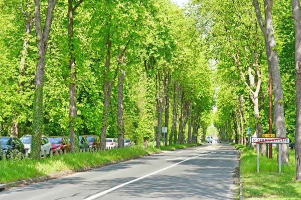 Saint Germain en Laye; Francia - 18 de abril de 2019: el bosque —  Fotos de Stock