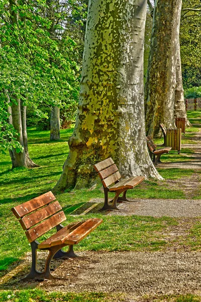 푸아시; 프랑스 - 2019년 4월 11일 : 마이소니에 공원 — 스톡 사진