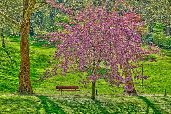 Poissy Frankrijk-april 11 2019: het Meissonier Park — Stockfoto