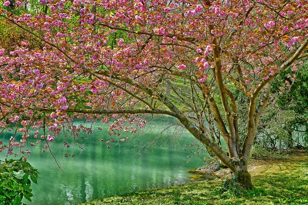 Poissy; Francia - 11 de abril de 2019: el parque Meissonier —  Fotos de Stock