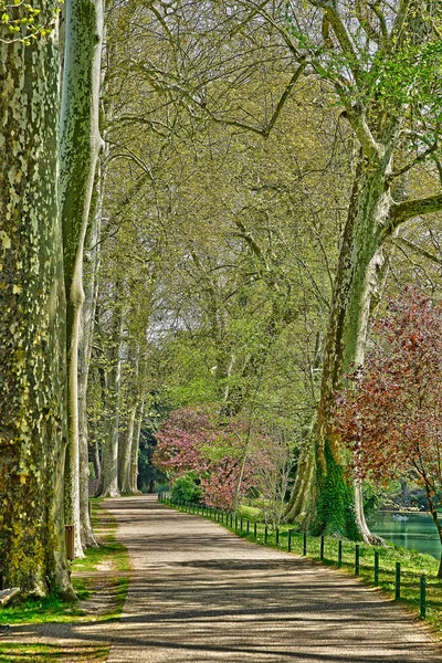 Poissy; França - 11 de abril de 2019: o parque Meissonier — Fotografia de Stock