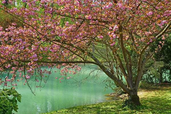 Poissy; Francia - 11 de abril de 2019: el parque Meissonier —  Fotos de Stock