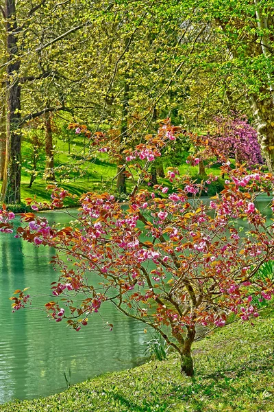 Poissy Frankrijk-april 11 2019: het Meissonier Park — Stockfoto