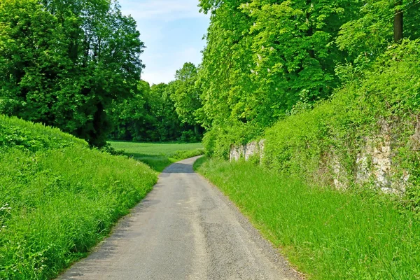 Condecourt、フランス-5 月 24 2019: 道路 — ストック写真