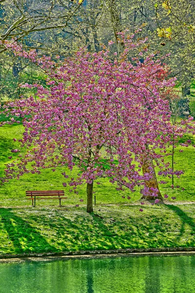 Poissy Frankrike-april 11 2019: Meissonier parkerar — Stockfoto