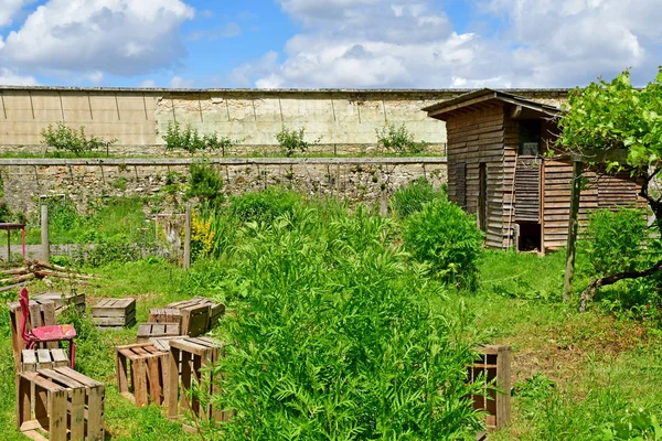 Versalles; Francia - 16 de junio de 2019: Le potager du roi — Foto de Stock