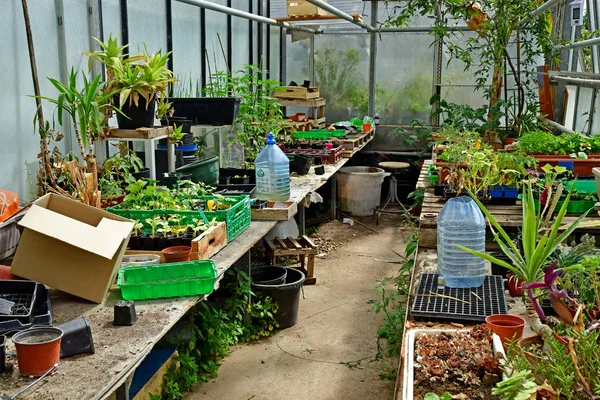 Versalhes; França - 16 de junho de 2019: Le potager du roi — Fotografia de Stock