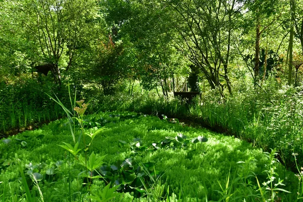 Chaumont sur Loire; França - 29 de junho de 2019: as fes internacionais — Fotografia de Stock