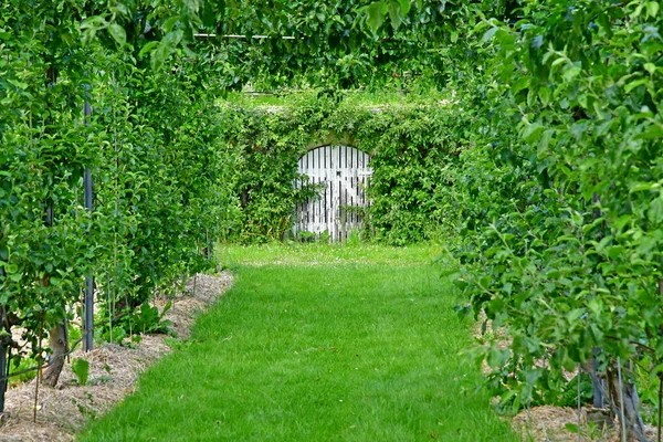 Versailles; france - 16. Juni 2019: le potager du roi — Stockfoto