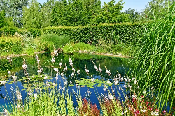 Chaumont sur Loire; Francia - 29 de junio de 2019: las fes internacionales — Foto de Stock