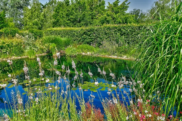 Chaumont sur Loire; Francia - 29 de junio de 2019: las fes internacionales — Foto de Stock