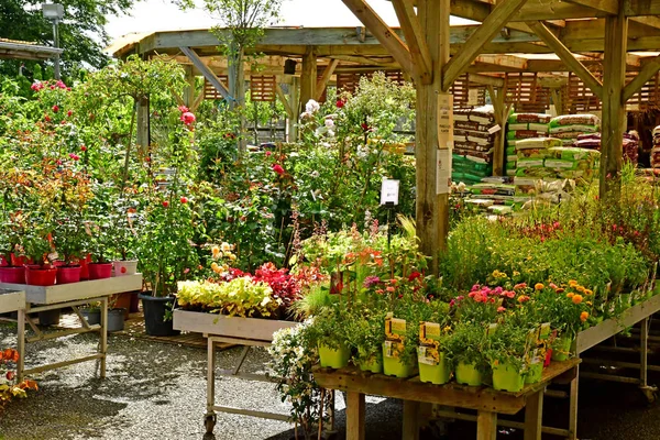 Saint Cyr l Ecole；France - june 16 2019：garden centre — 图库照片