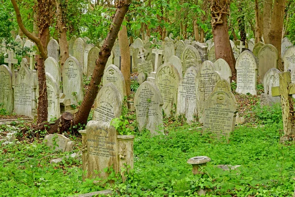 Лондон, Англія-6 2019 травня: Highgate кладовище — стокове фото