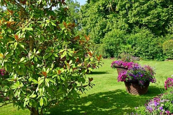 Chaumont sur Loire; Francja-Czerwiec 29 2019: Międzynarodowy Fes — Zdjęcie stockowe