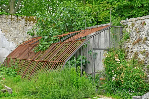 Wersal; Francja - 16 czerwca 2019: Le potager du roi — Zdjęcie stockowe