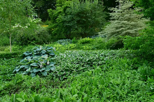 Sasnieres; Francia - 30 de junio de 2019: du Plessis Sasnieres garden — Foto de Stock