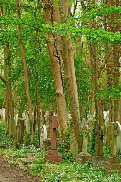 Londres, Inglaterra - 6 de maio de 2019: Cemitério Highgate — Fotografia de Stock