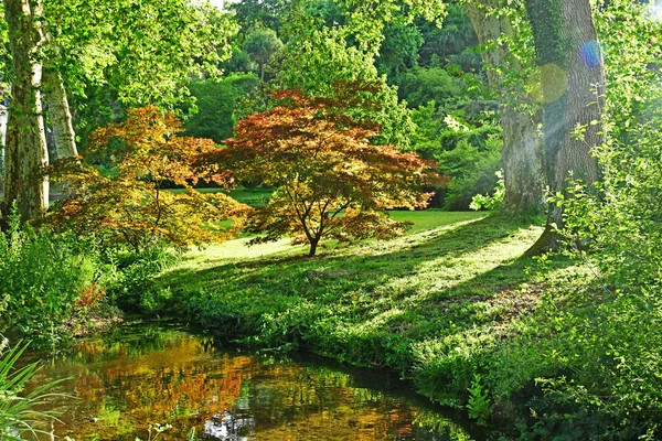 Sasnieres; Francia - 30 giugno 2019: du Plessis Sasnieres garden — Foto Stock