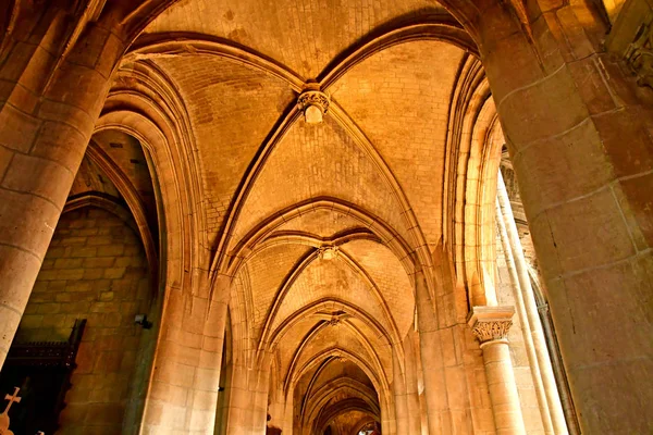 Poissy; France - april 11 2019 : the collegiate church in spring — Stock Photo, Image